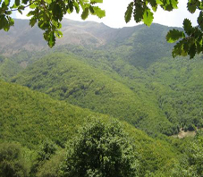 Iran,Julfa
